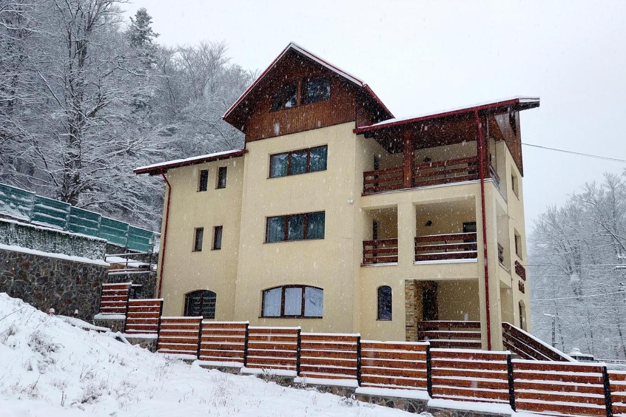 Casa Raisa Hotell Buşteni Exteriör bild
